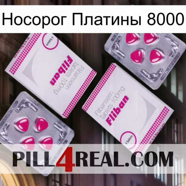 Носорог Платины 8000 33.jpg